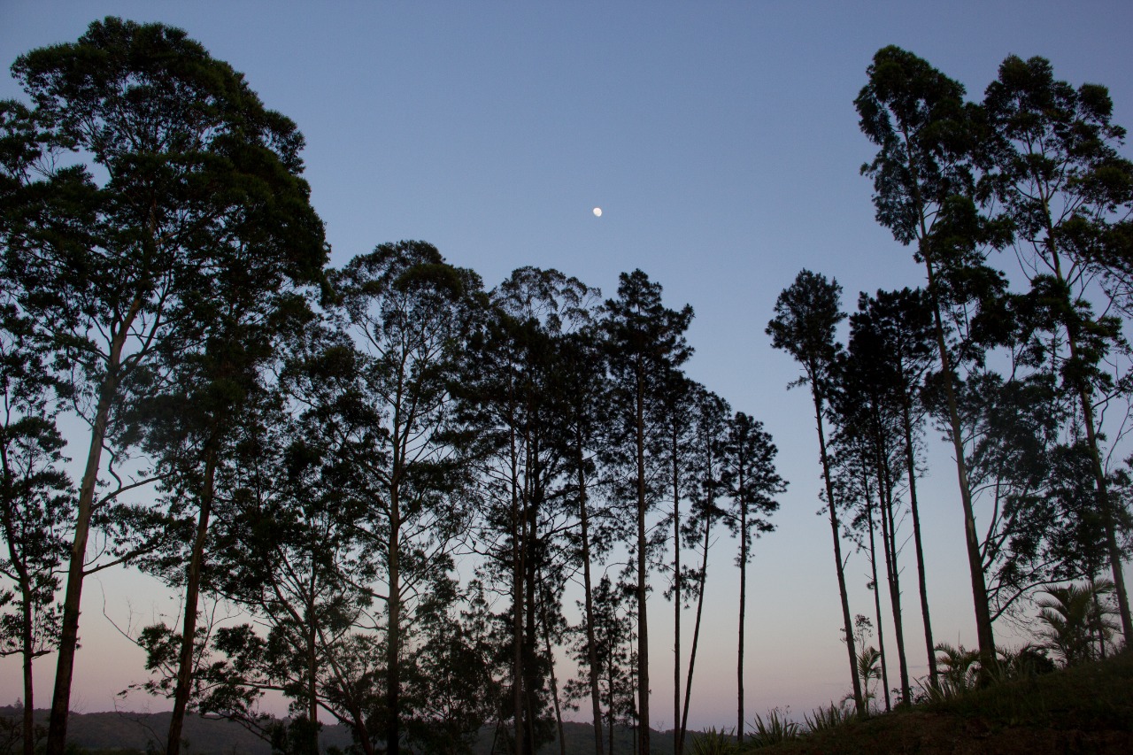 WhatsApp Image 2021-07-19 at 17.06.03 (2).jpeg