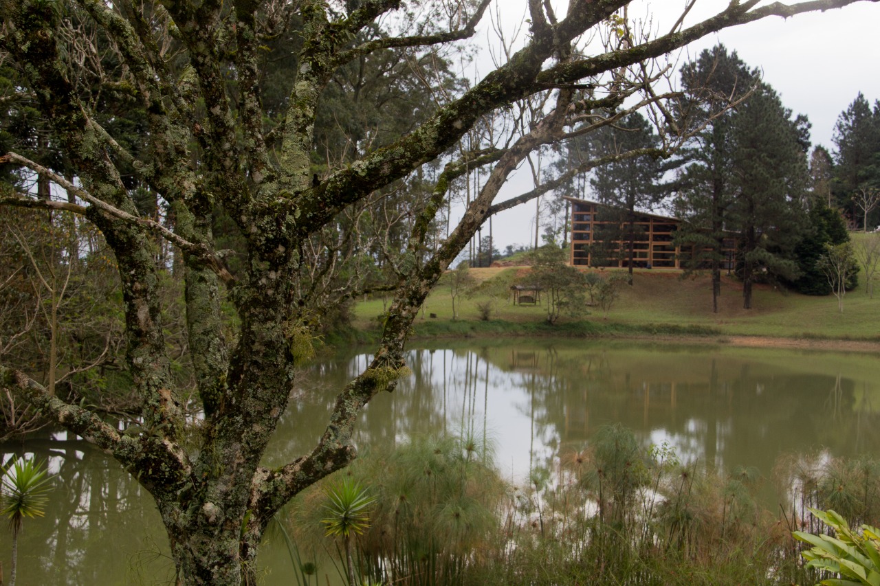 WhatsApp Image 2021-07-19 at 17.03.02.jpeg