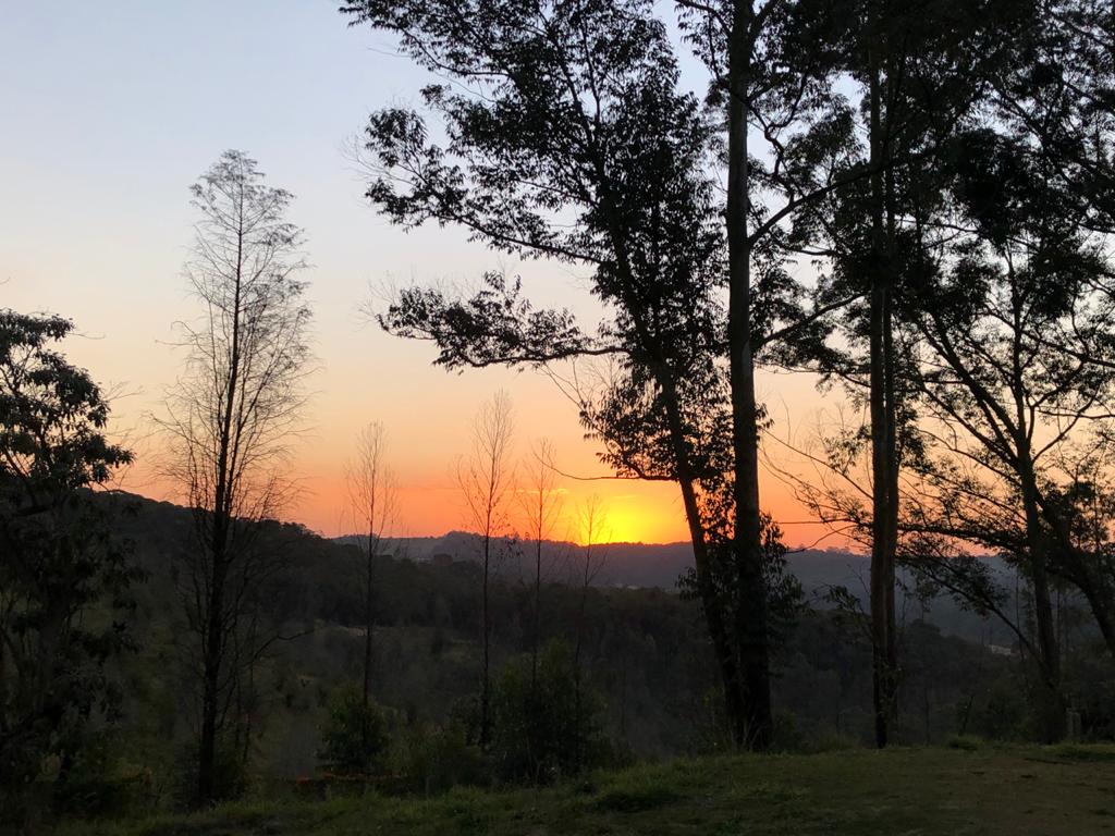 WhatsApp Image 2021-07-19 at 19.58.33 (1).jpeg