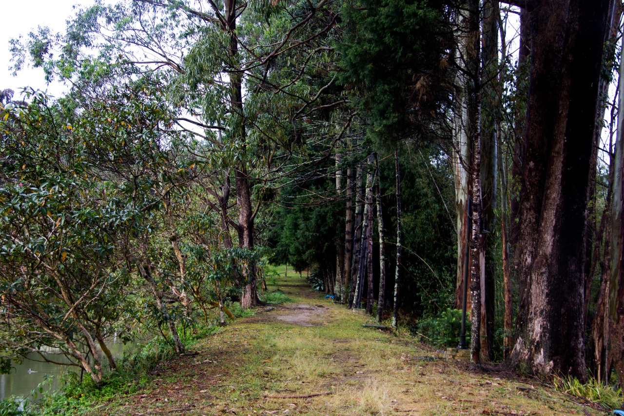 WhatsApp Image 2021-07-19 at 17.03.01 (1).jpeg